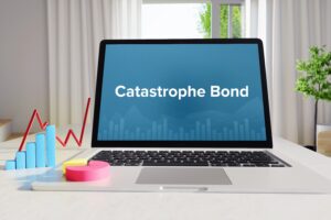 CATASTROPHE Bond e CYBER CATASTROPHE Bond
